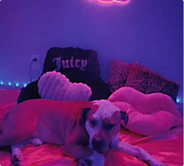 Pole room styling